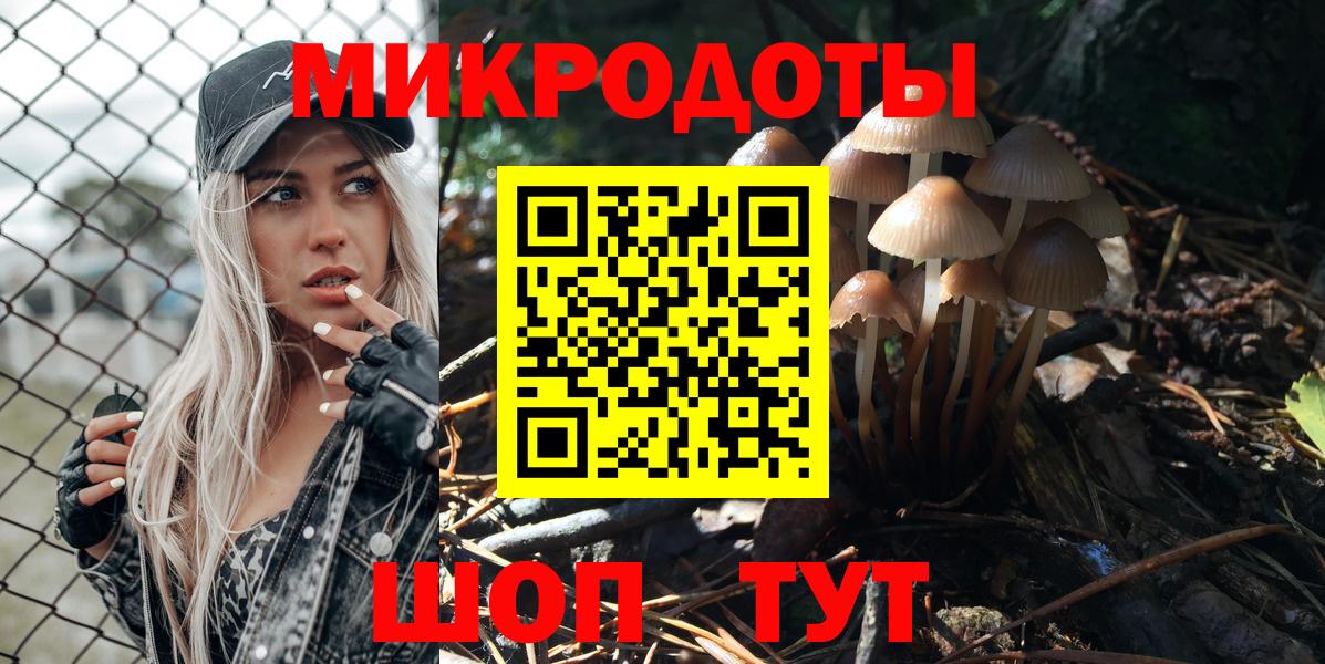 Псилоцибиновые грибы Psilocybe  Вход с VPN  Кириши 